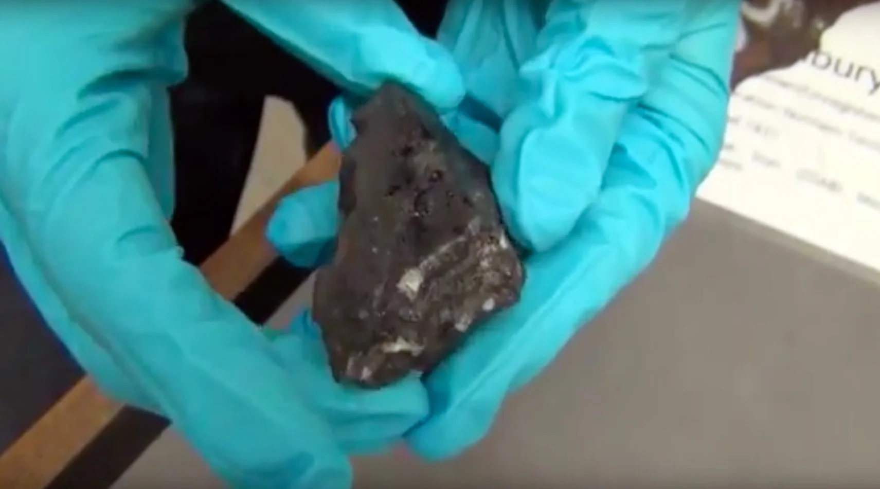 The Meteorite From Mars