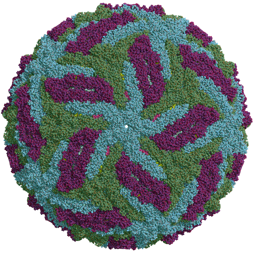 Cryo-EM: The Next Generation