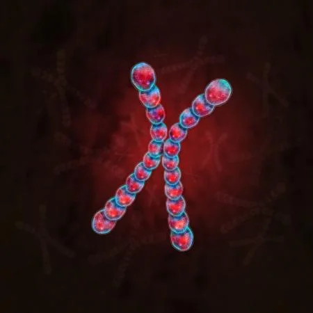 How an RNA Gene Silences a Whole Chromosome