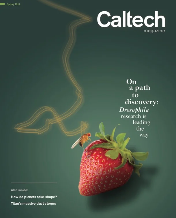 Caltech Magazine, Spring 2019