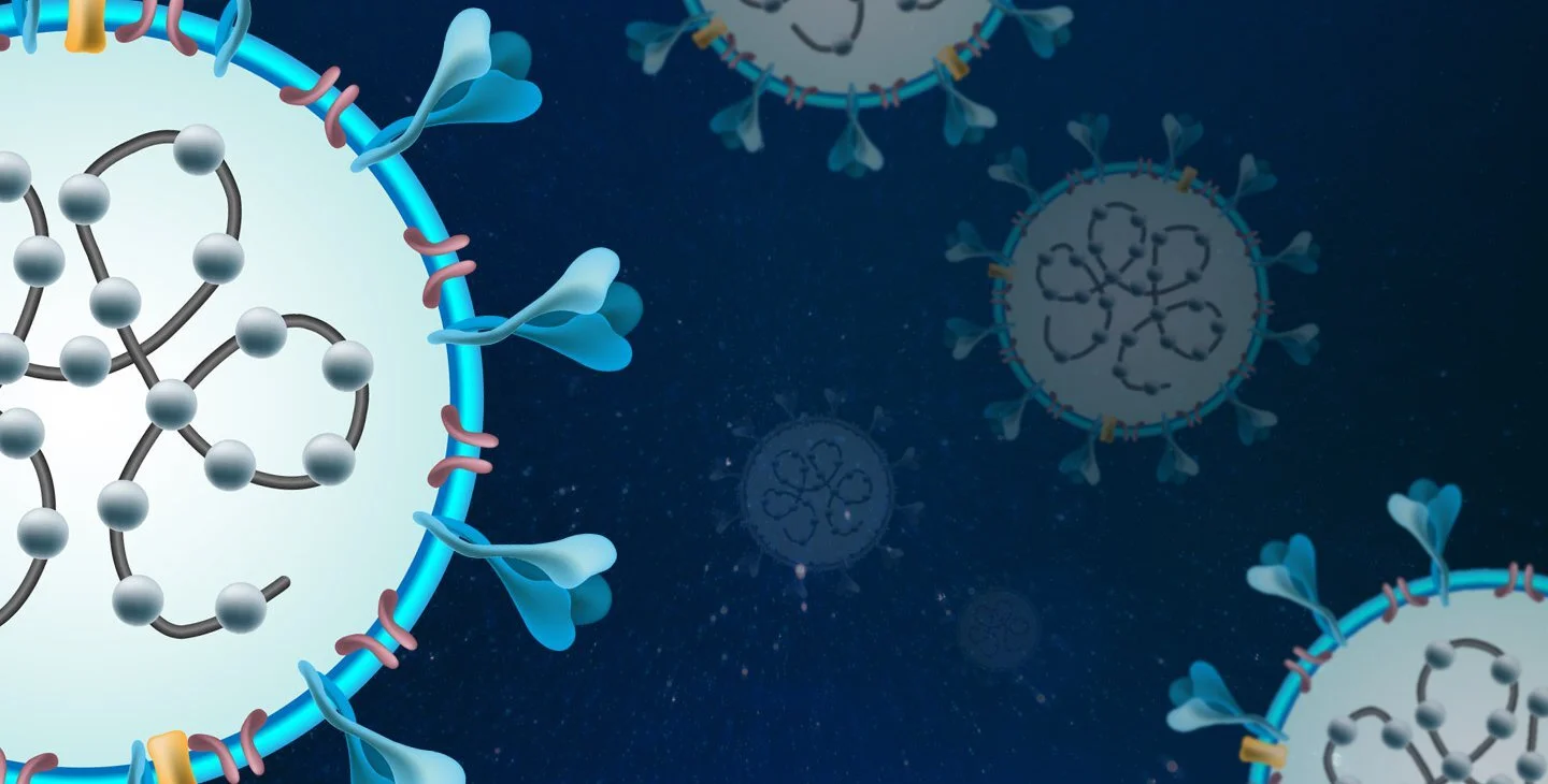 The COVID-19 Virus, By the Numbers