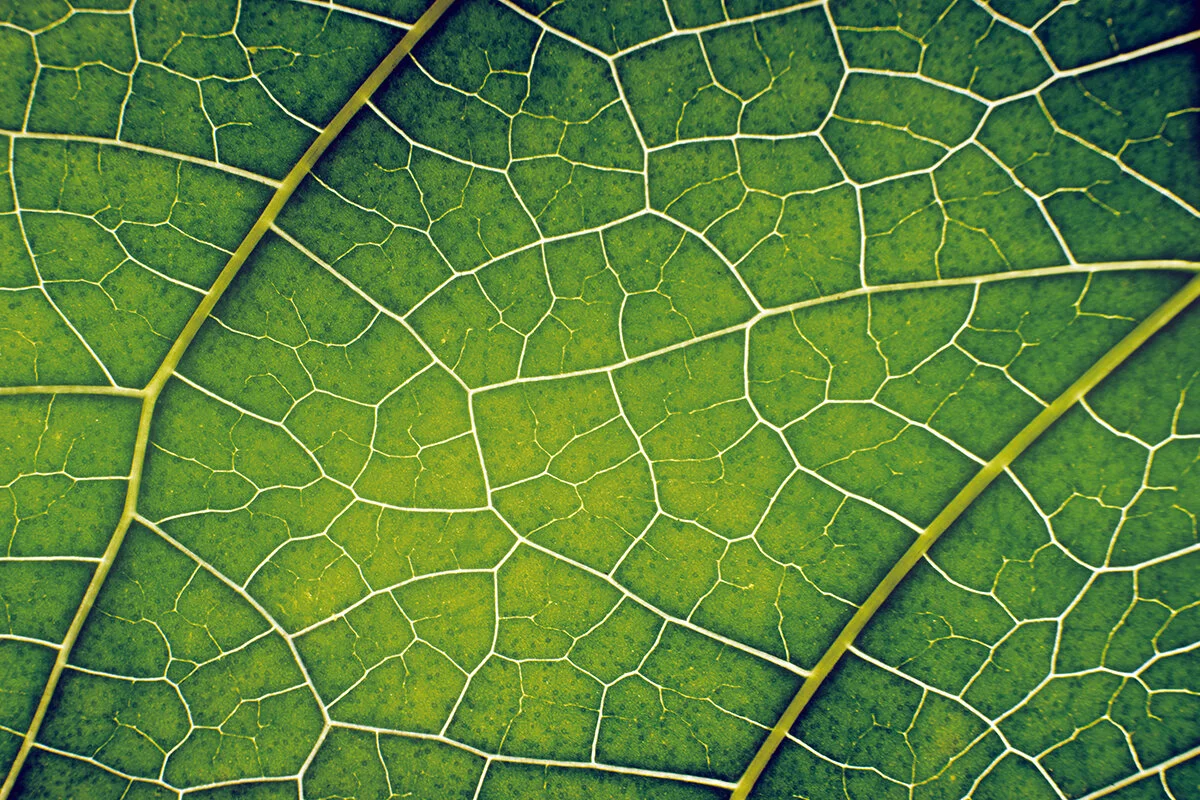 Converting Sunlight into Fuels