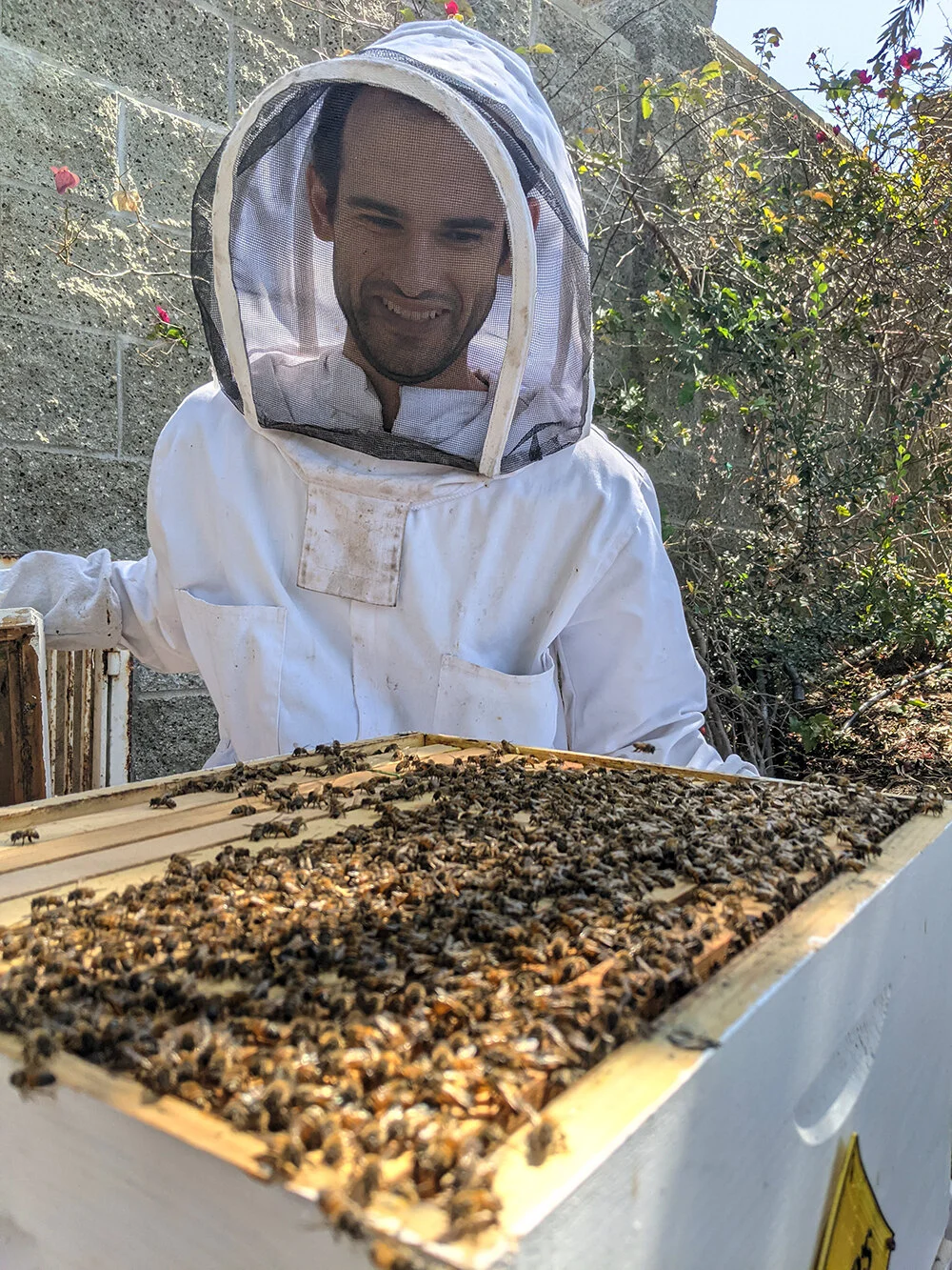 #SoCaltech: Cullen Quine