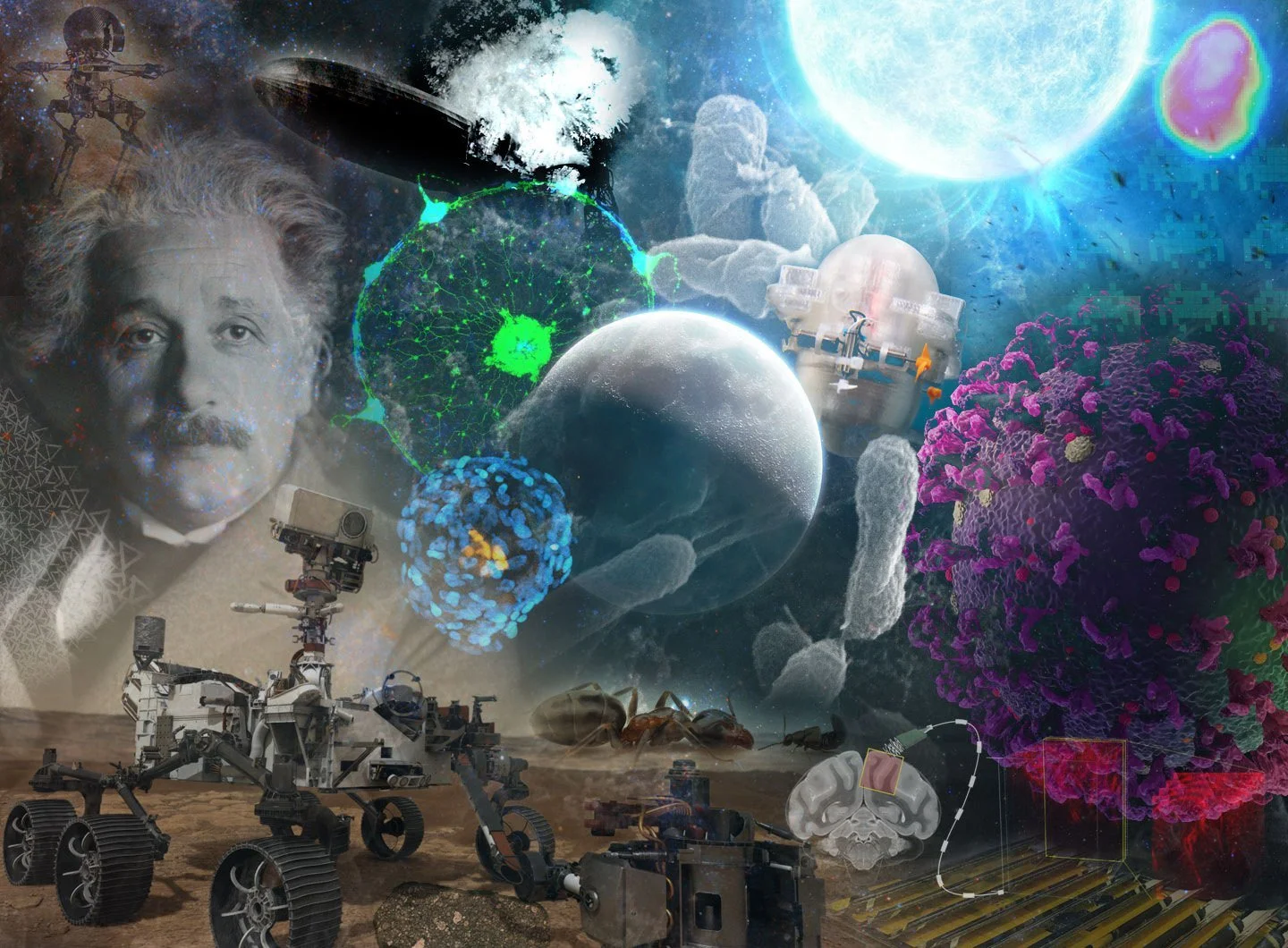 2021: A Caltech Year in Review