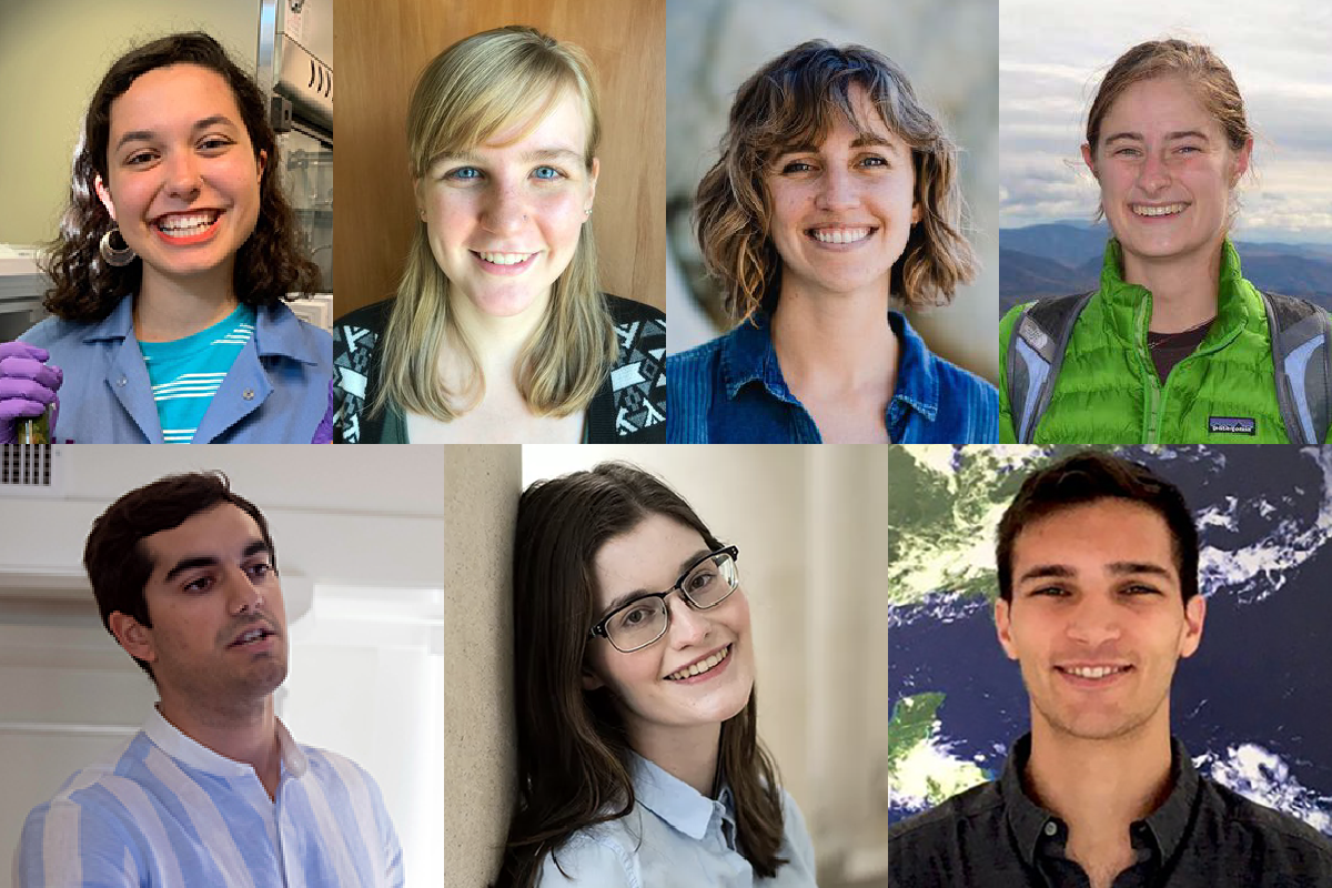 Why I Went into Sustainability Science