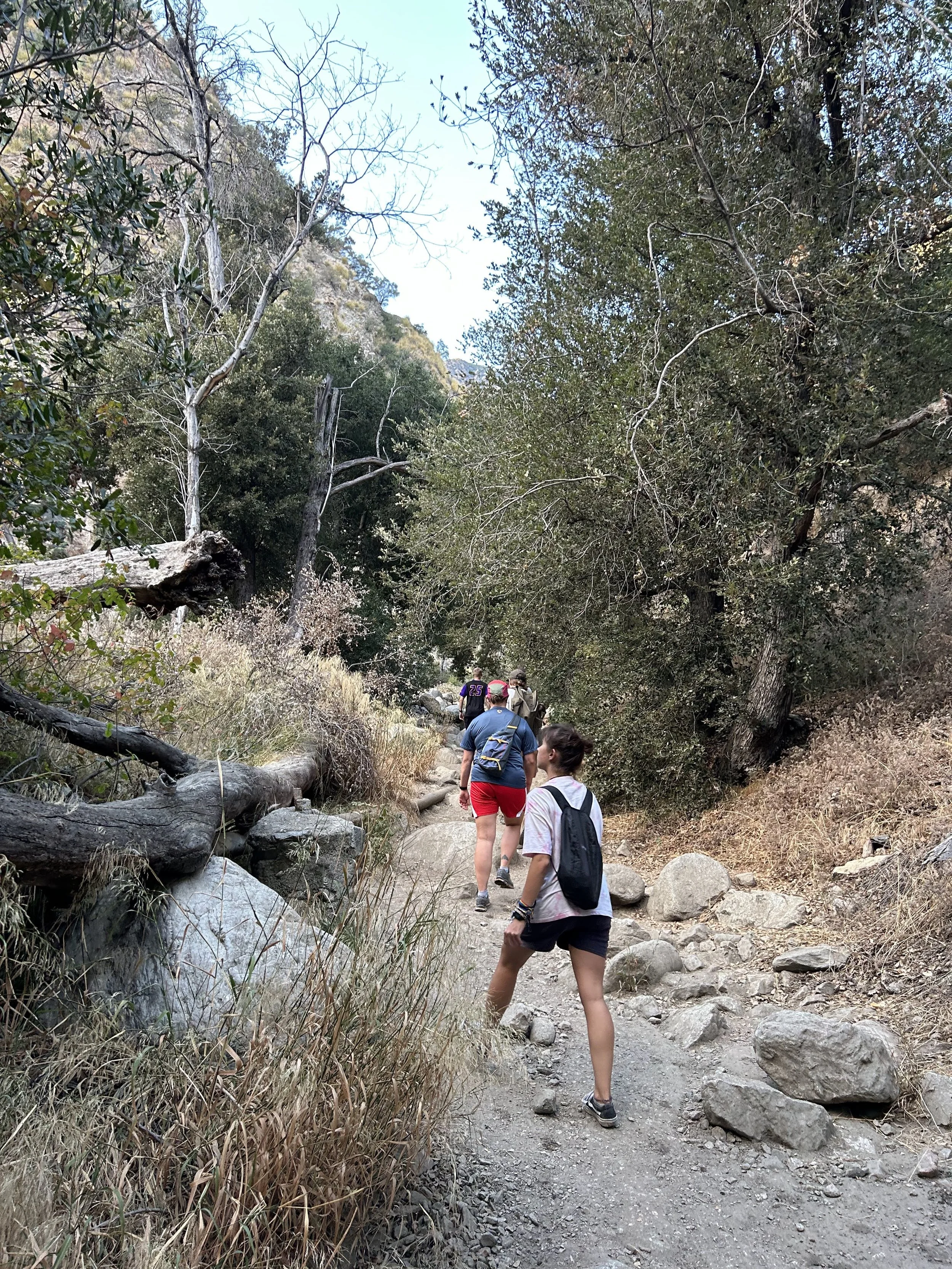  Credit: Martin Marzidovsek 