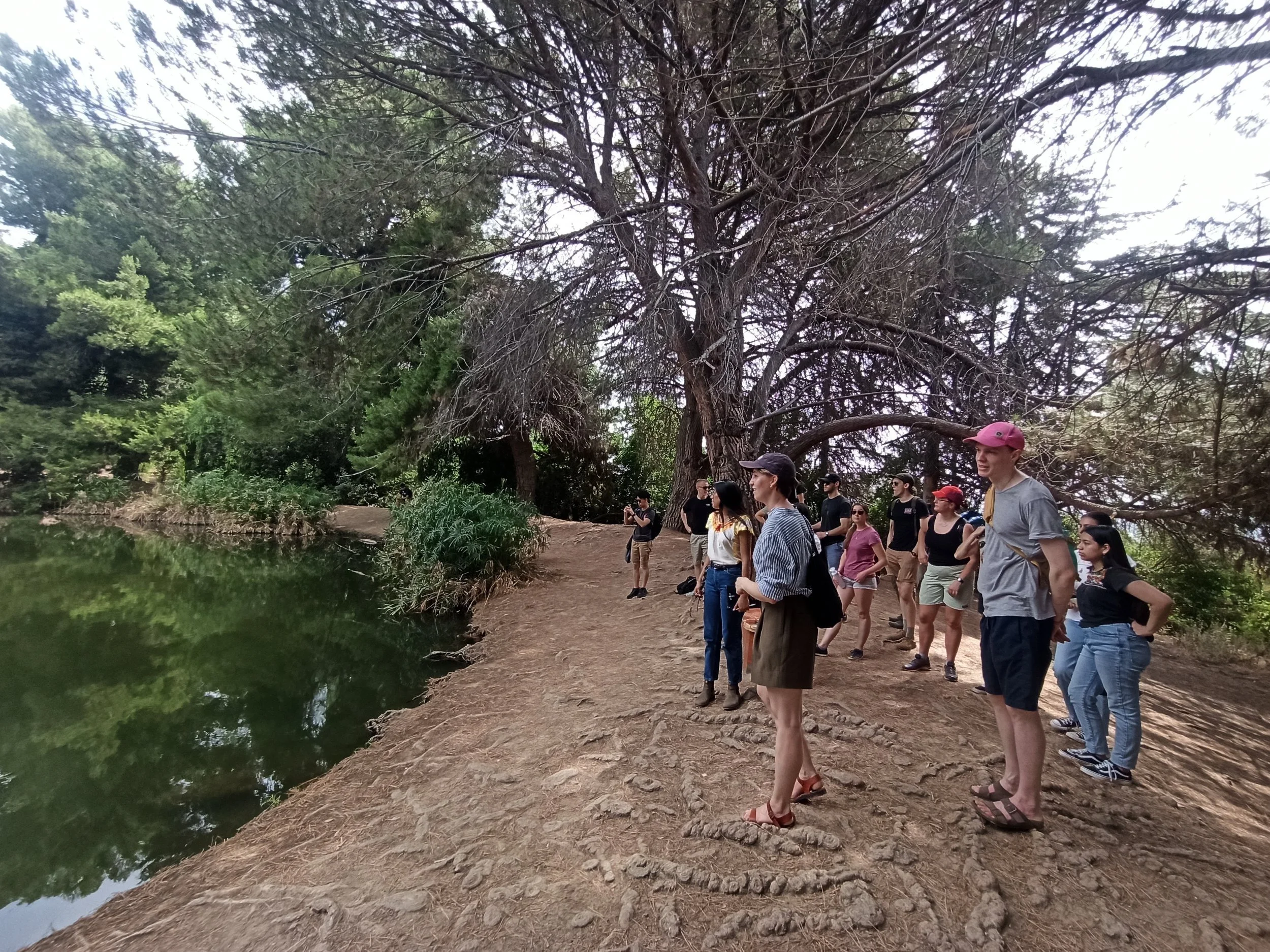 What Computer Vision Can Tell Us About the Natural World