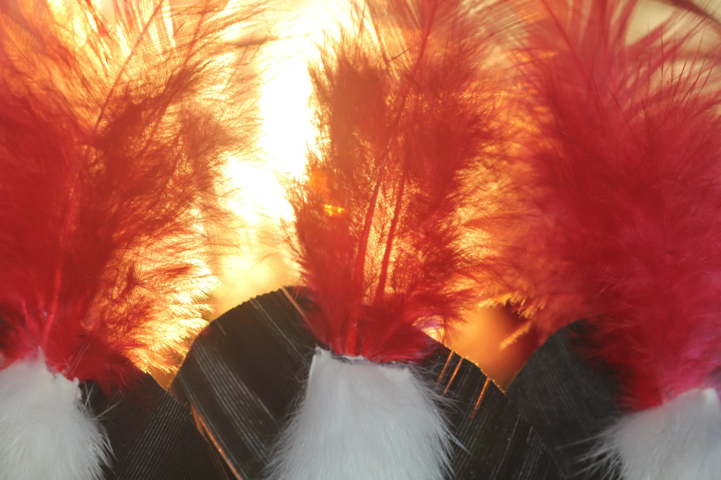 Blackfoot headdress detail