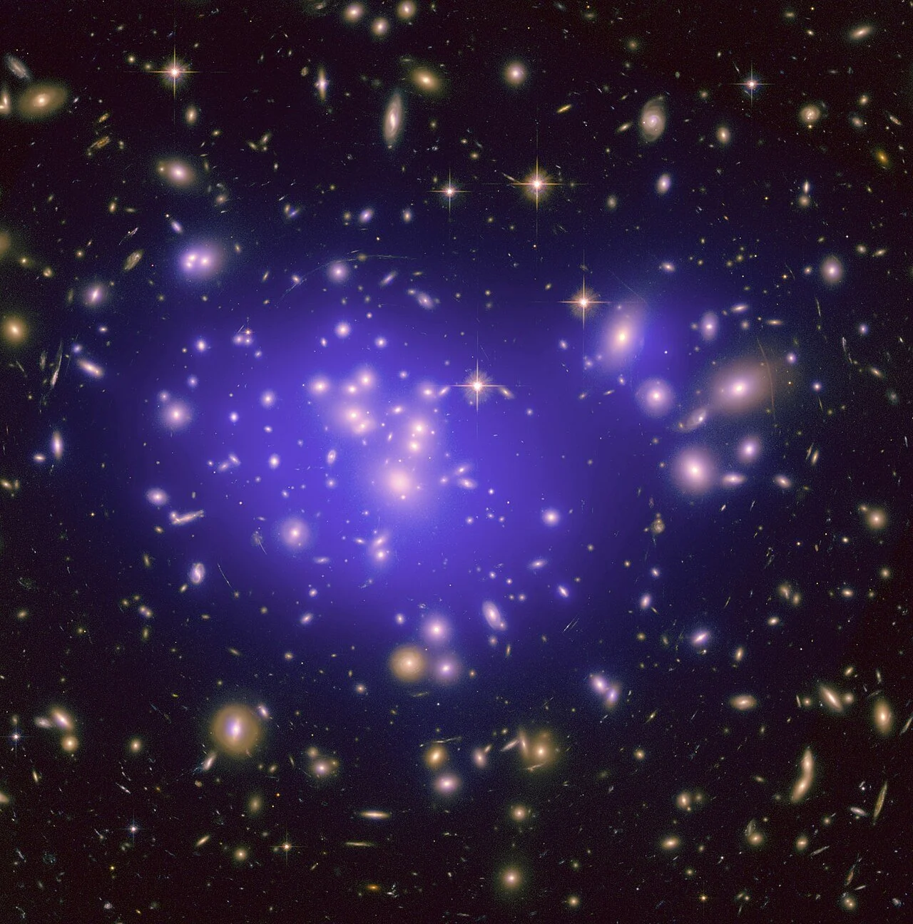 Kathryn Zurek on a Surprising Twist in the Long Hunt for Dark Matter