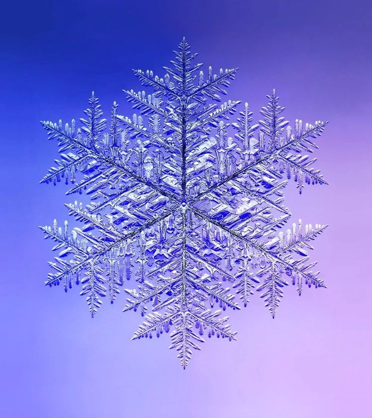 A Snowflake for the Record Books