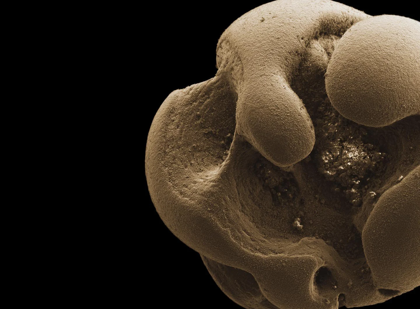 Eureka, Eventually: The Power of Slow Science