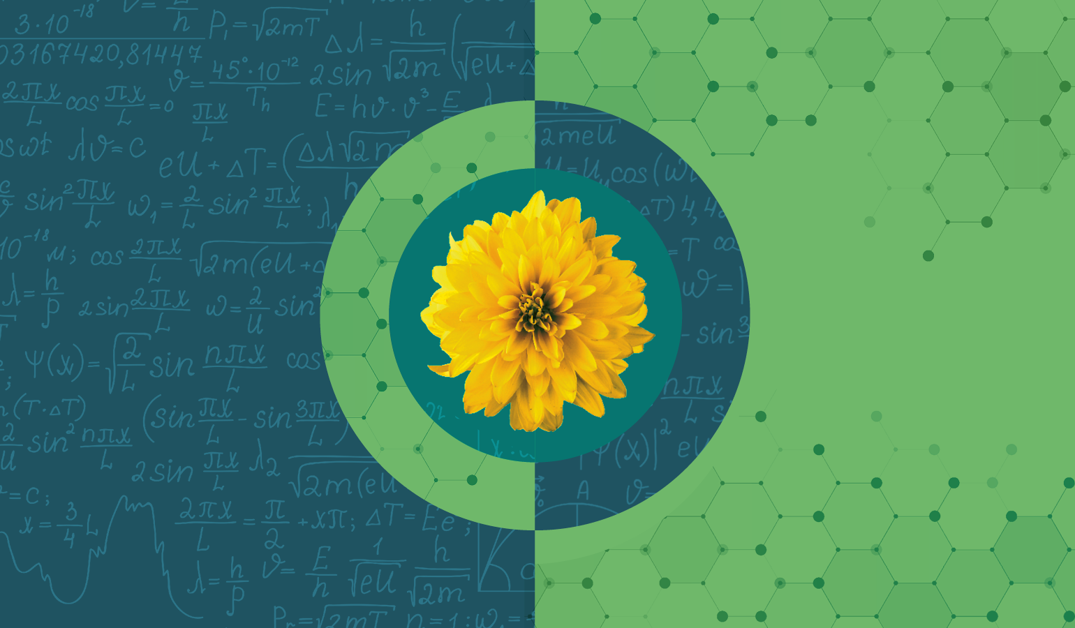 The Beauty of Convergence