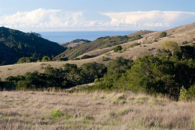 33 Rancho San Carlos Rd., Carmel, CA ~ SOLD for $1,700,000