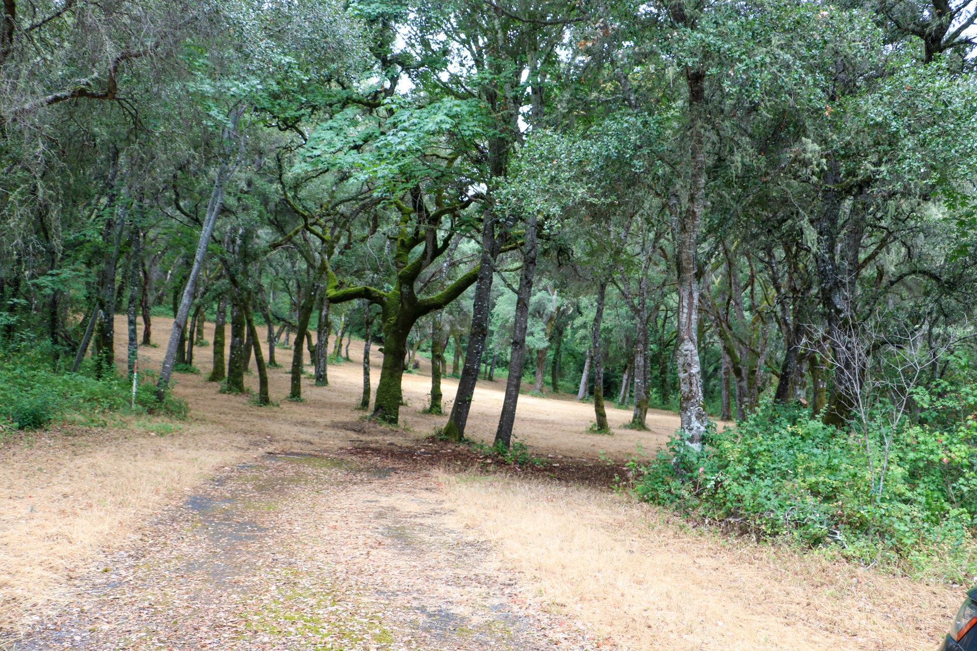  Lot 98 - 14 Arroyo Sequoia at The  Santa Lucia Preserve 