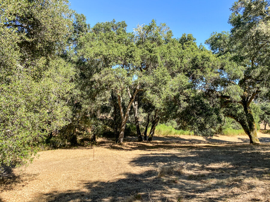  Lot 37 3 Rumsen Trace at Santa Lucia Preserve 