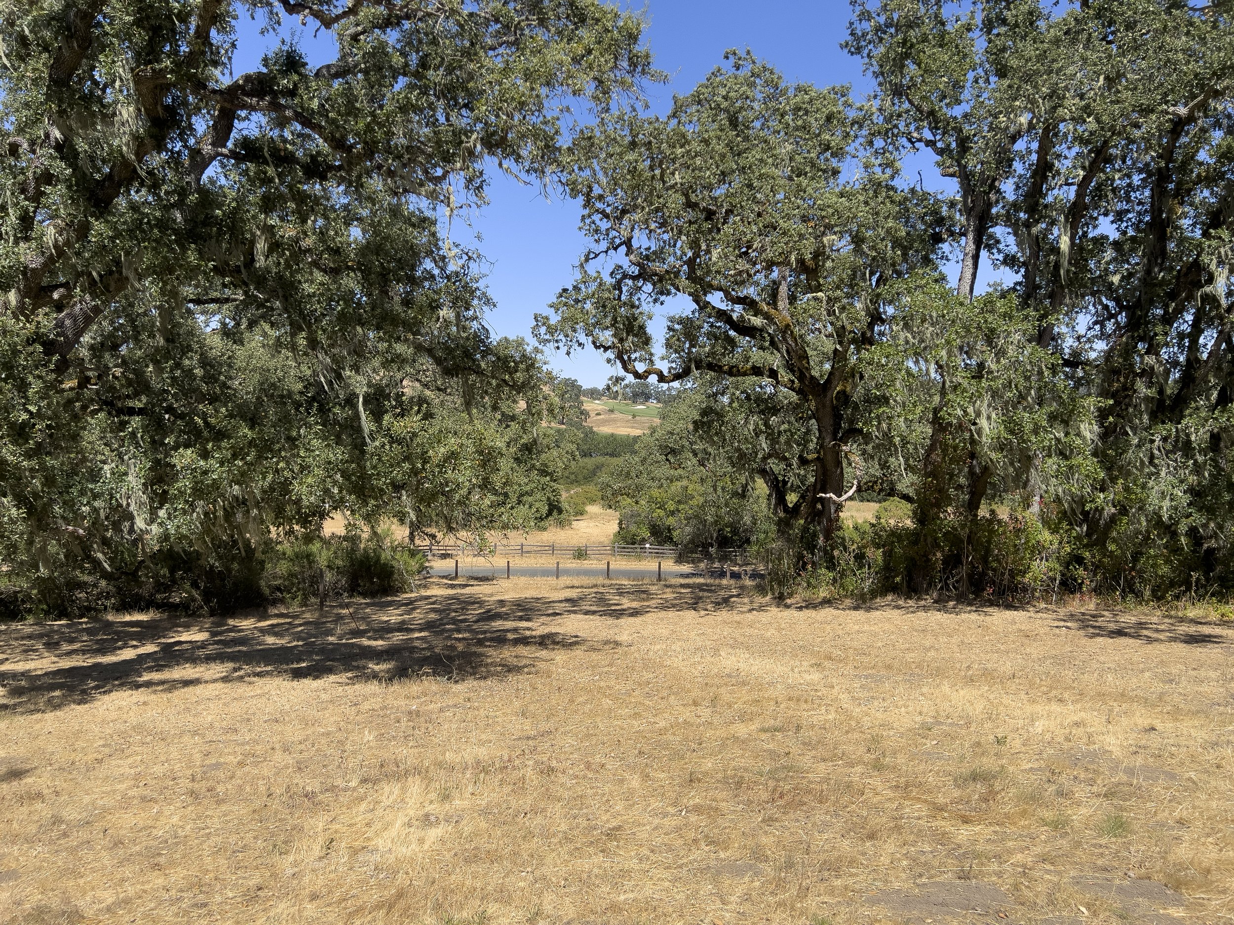 Lot 83 ~ 34221 Robinson Canyon Rd. ~ $475,000