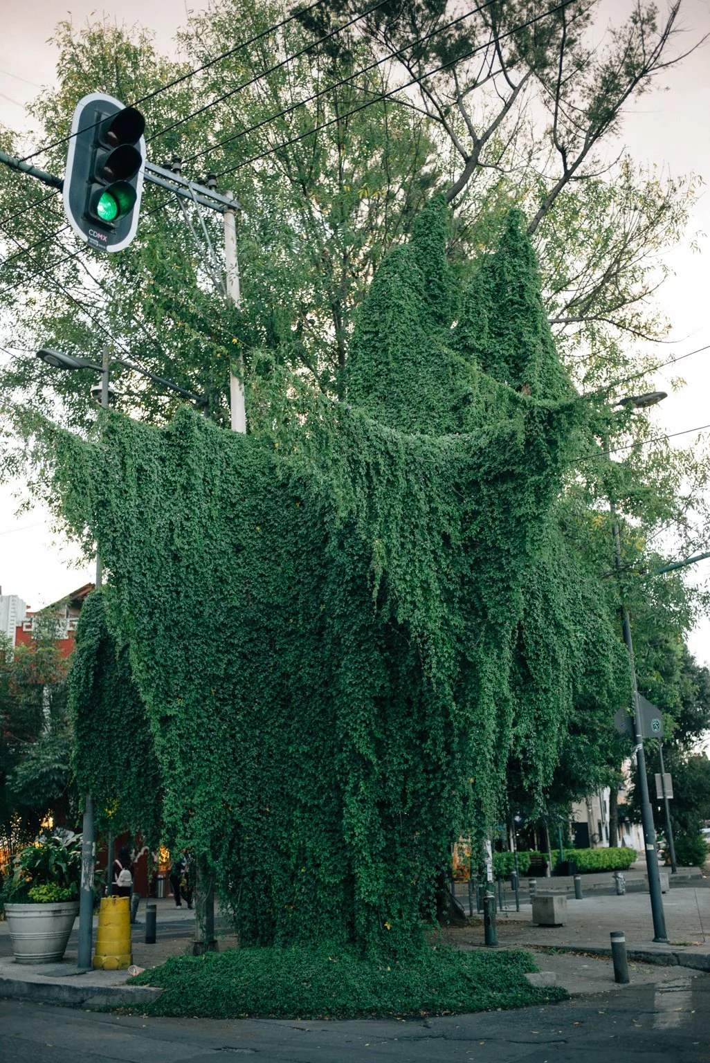 L1002230.jpg