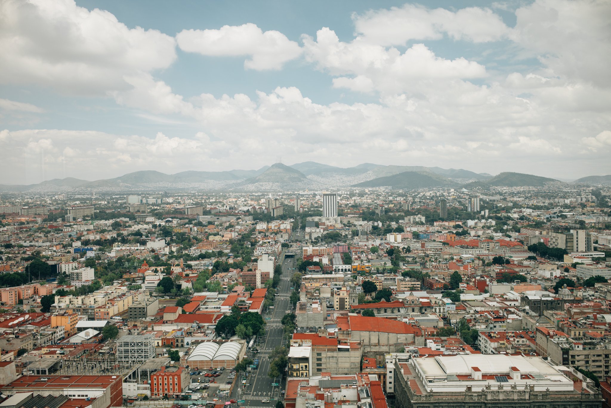 L1002049.jpg