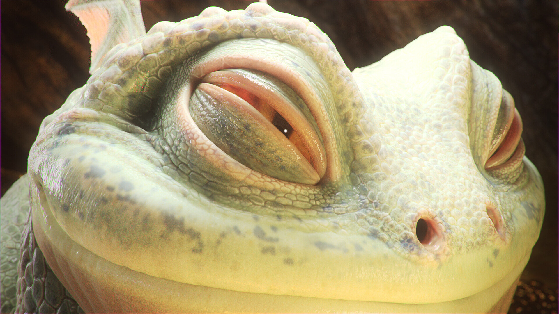 alessandro-baldasseroni-closeup.jpg