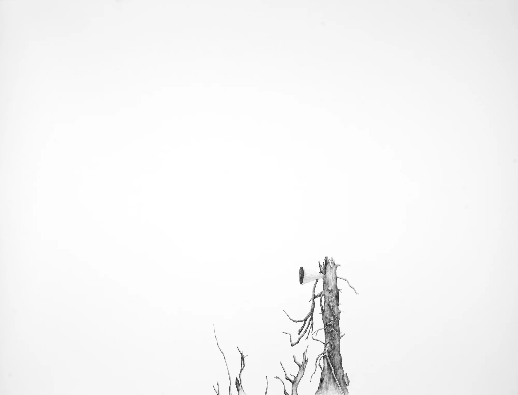 Communication Attempt