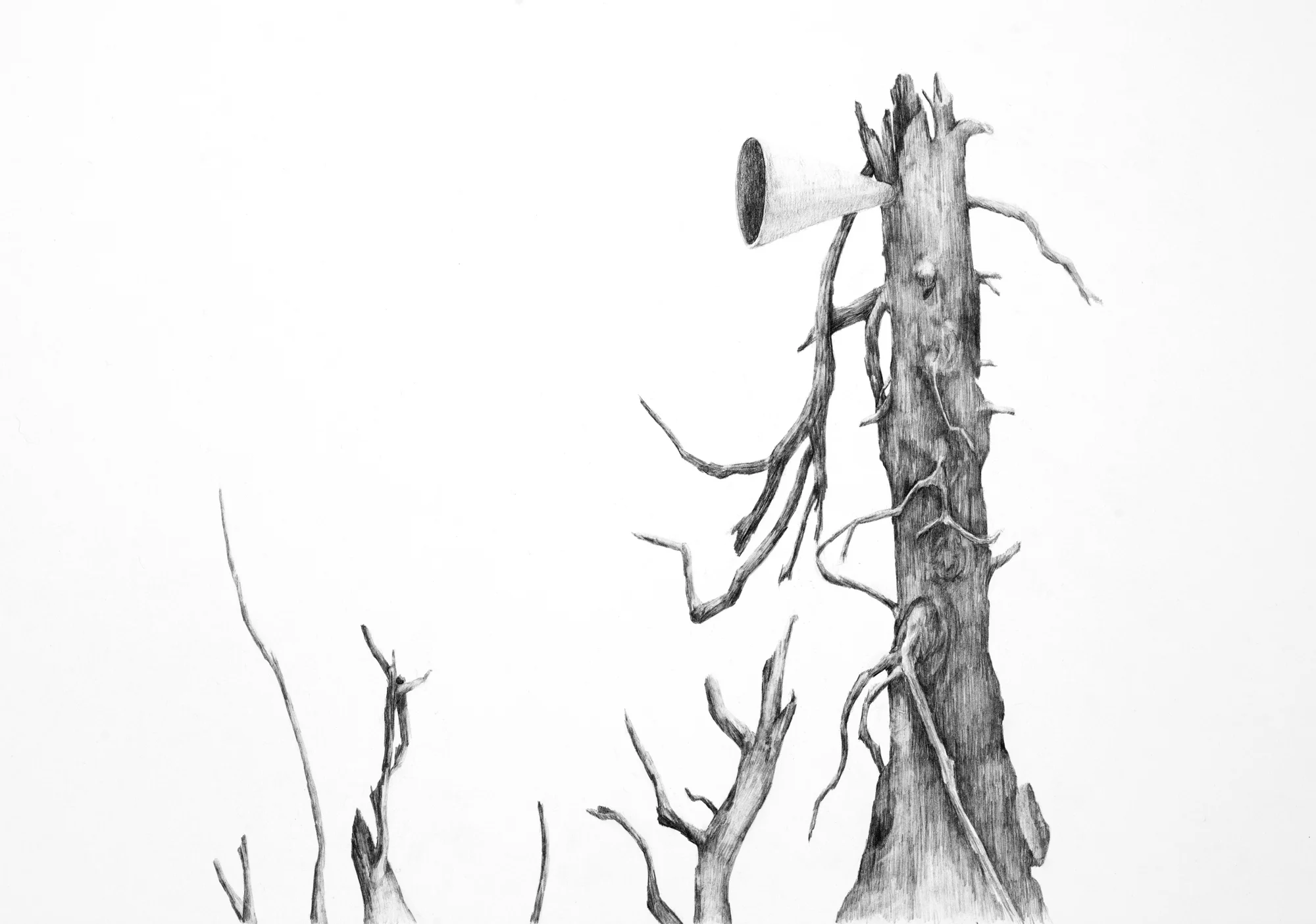 Communication Attempt (detail)
