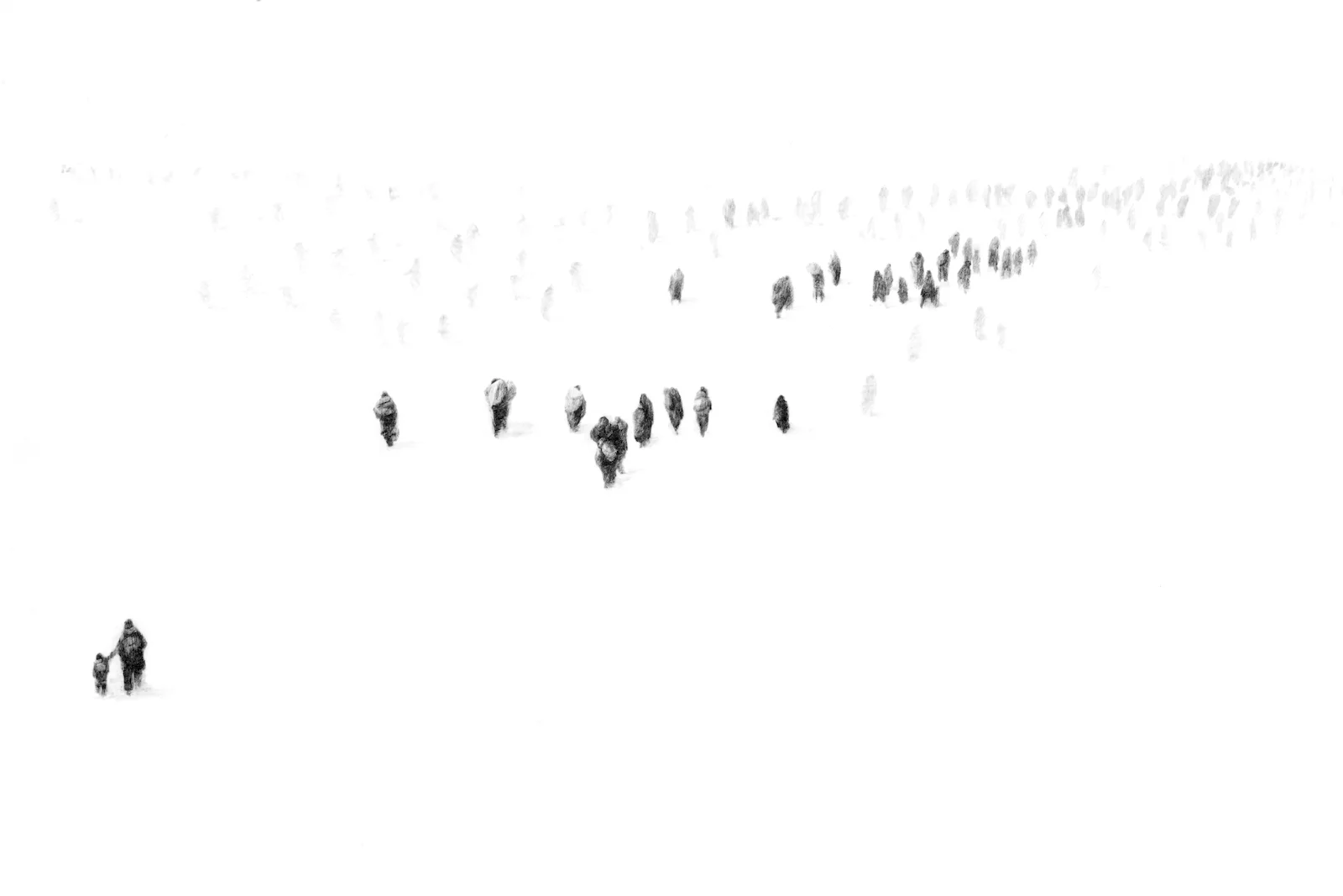 Groundswell (detail)