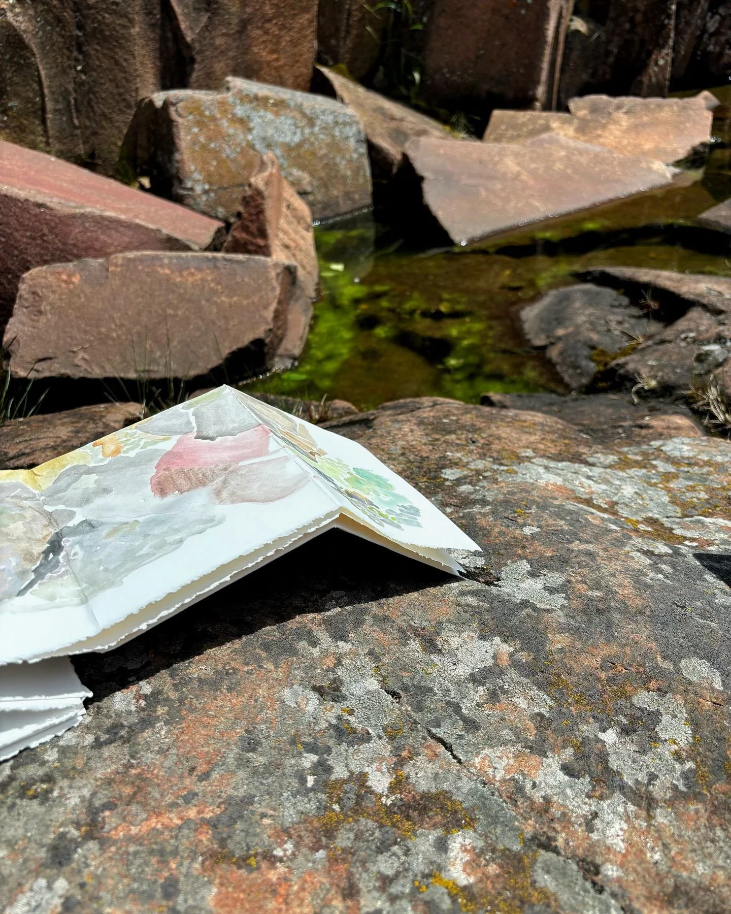 Some June moments from up north 🪨🌲💛