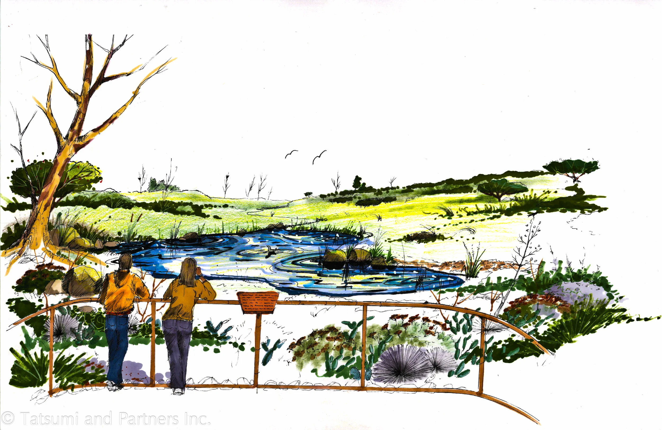 Vision of Pocket Park