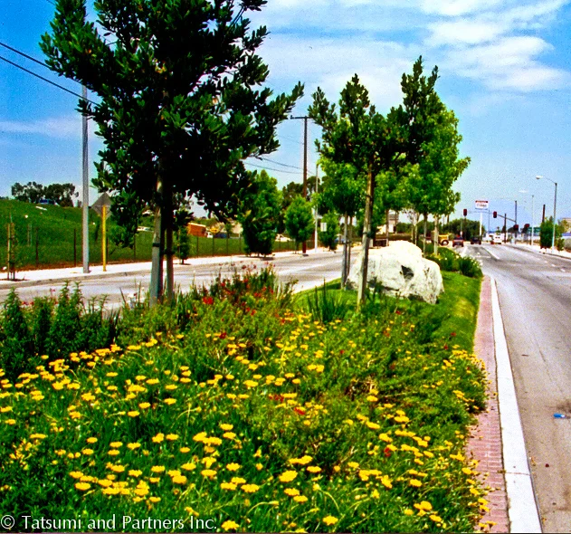 Street_Carson median_Landscape 3.jpg