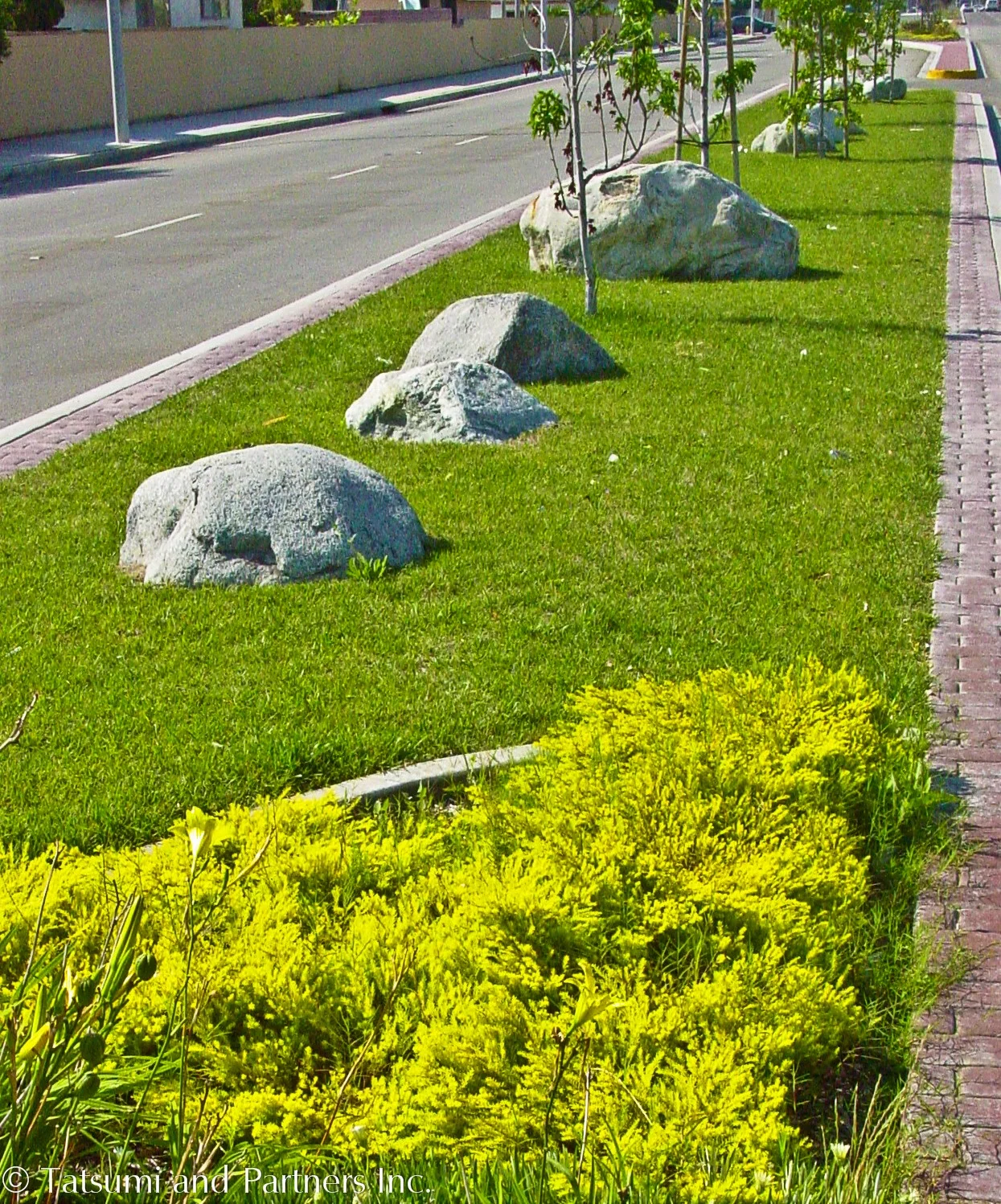 Street_Carson median_Landscape 1.jpg
