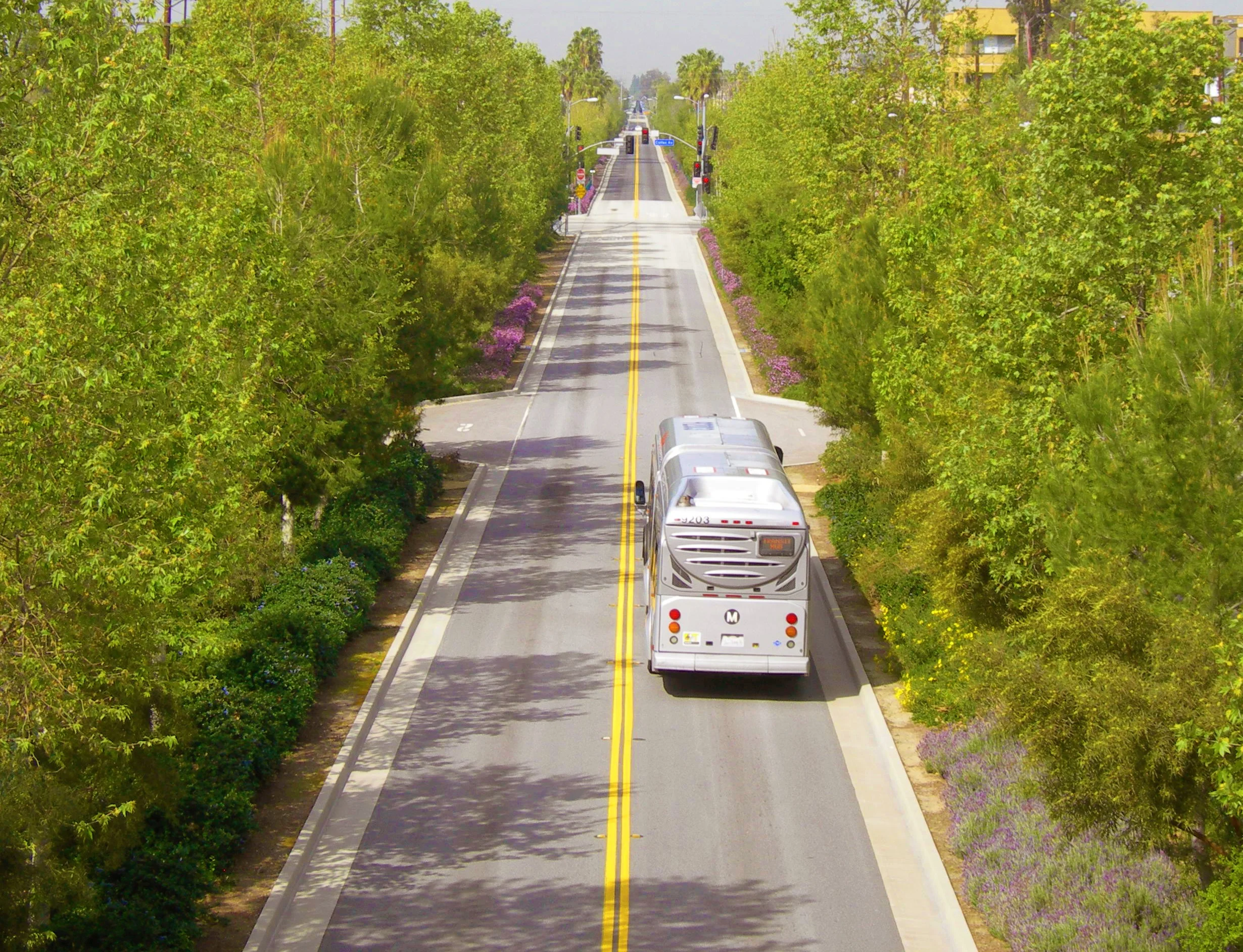 Orangeline_Busway Landscape with bus.jpg