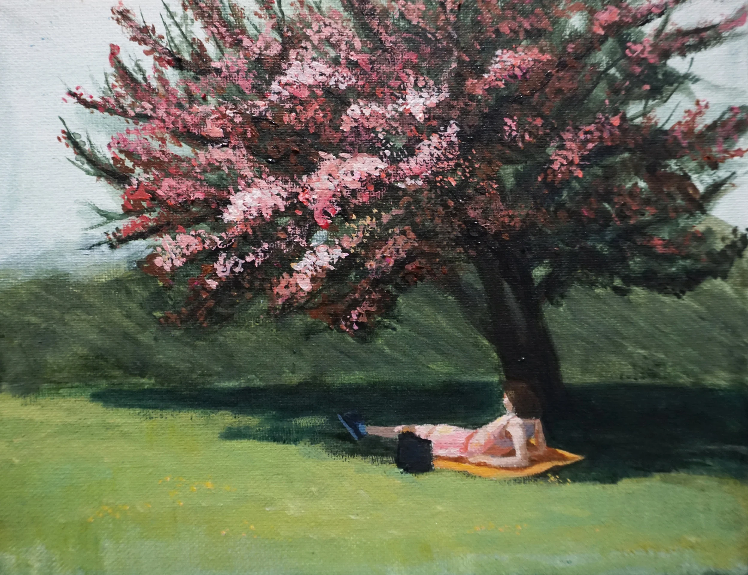 Spring No. 3