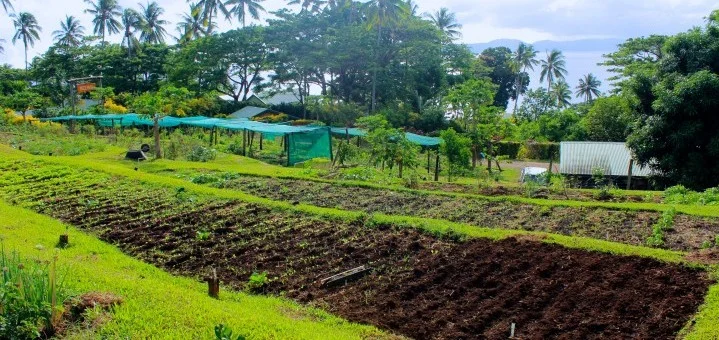 Renewable Energy and Organic Gardening on Taveuni