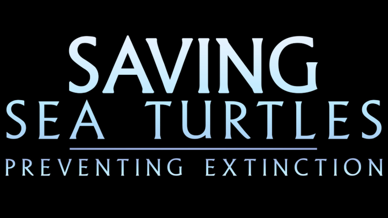 Saving Sea Turtles