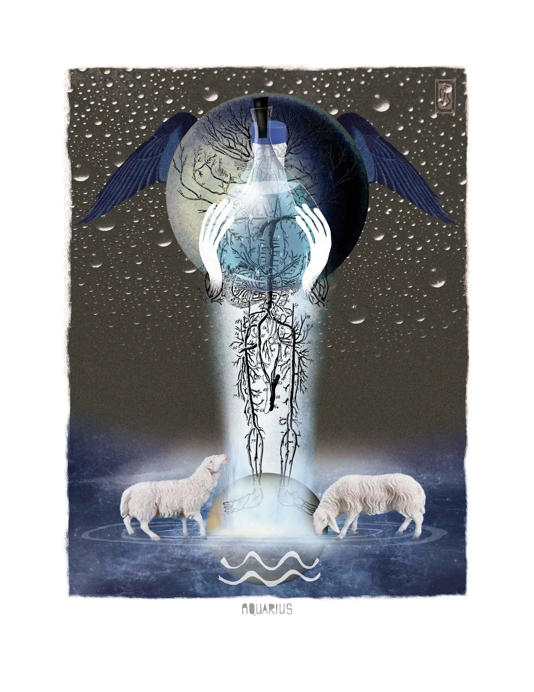Aquarius- 2016 Zodiac Series-A self motivated project depicting the mythology, symbol, element, quality, planet and aspect of the human anatomy influenced by each symbol. © KAth Boake Wuthrich