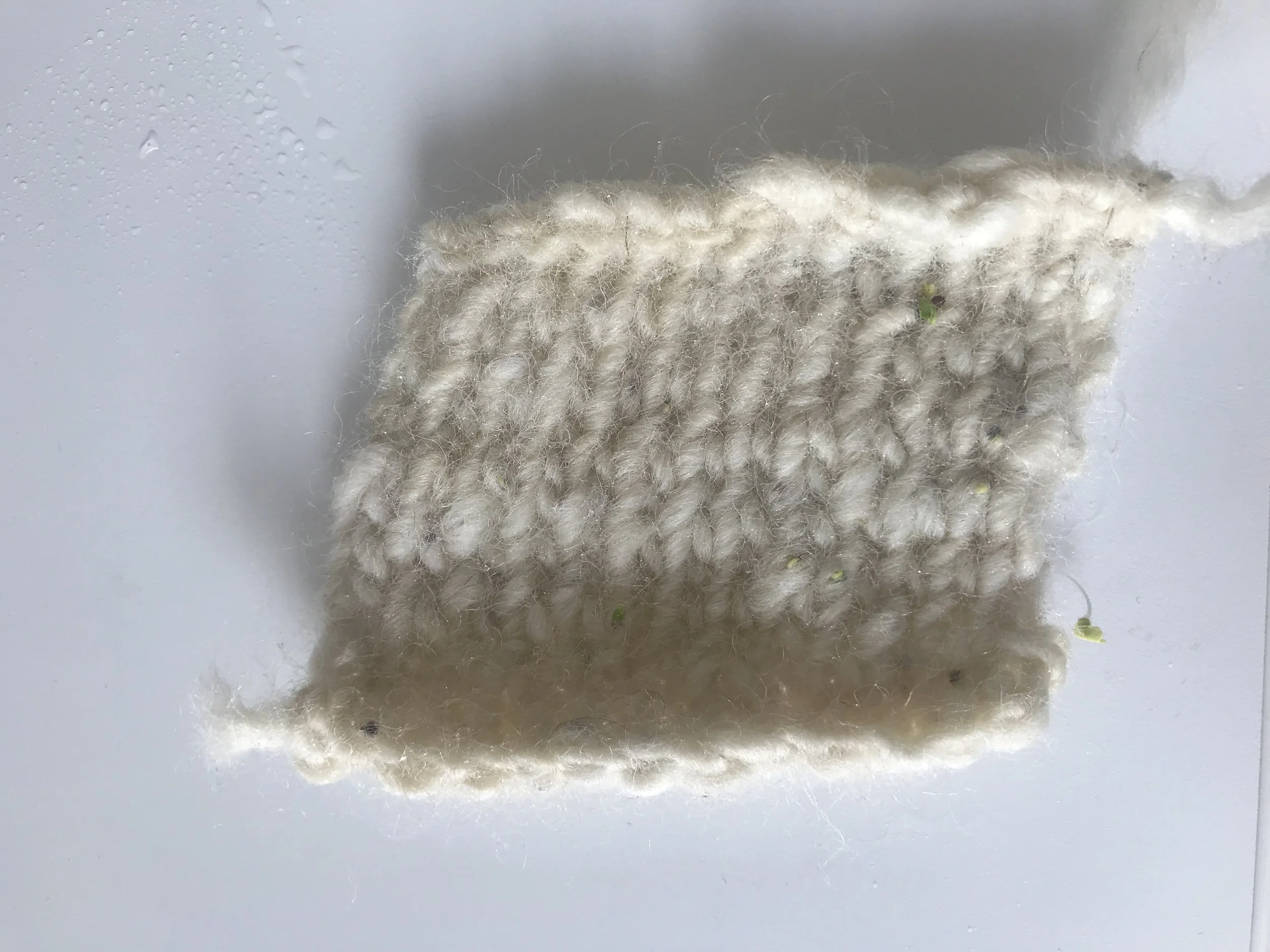 Day 4-Small growth