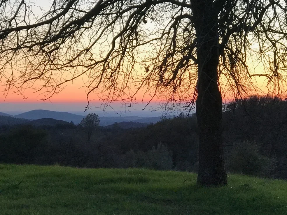 Big Table Ranch, Coulterville CA