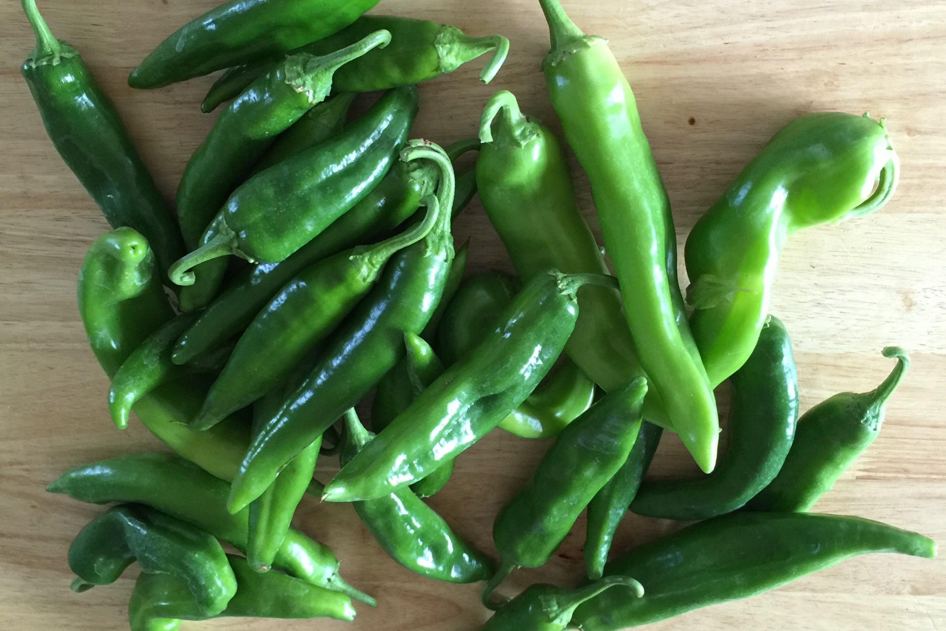 Green Chili Stew