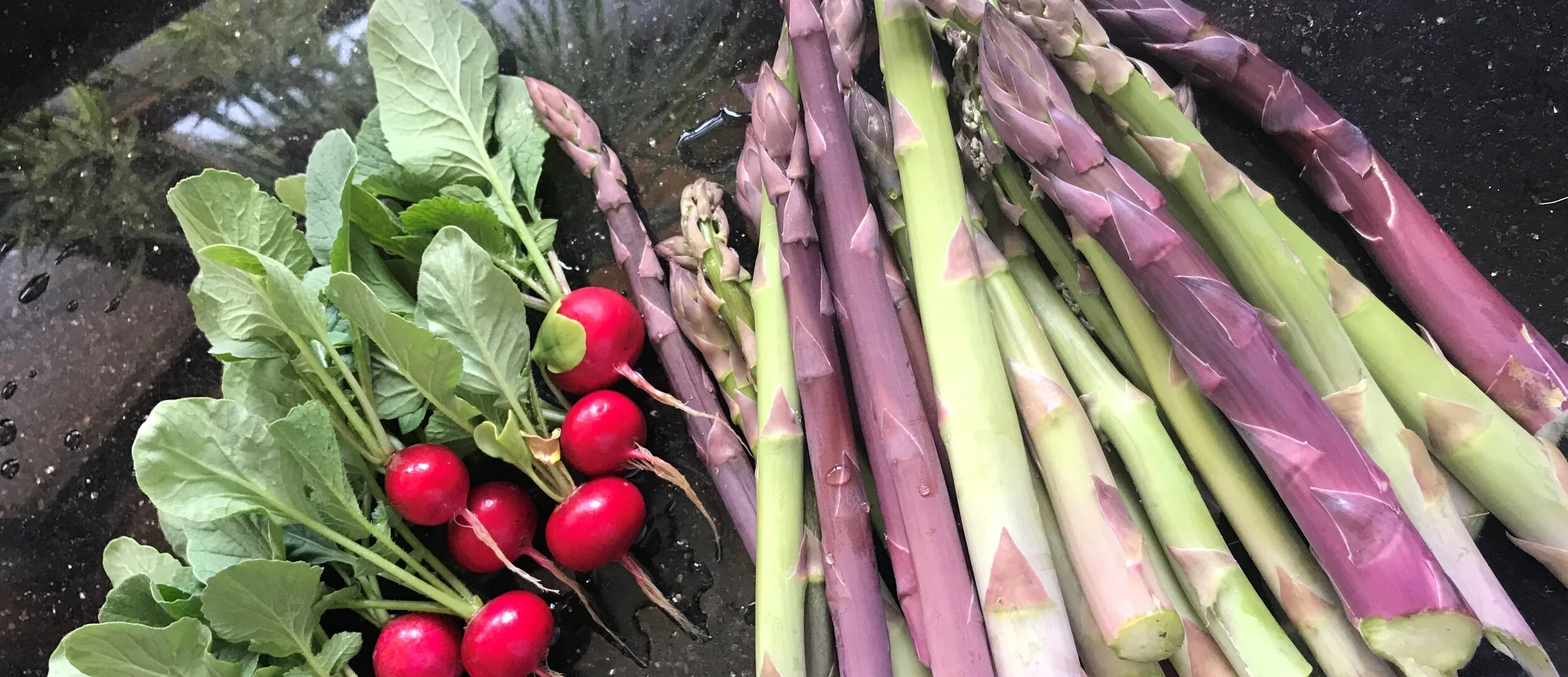 Permaculture Economics