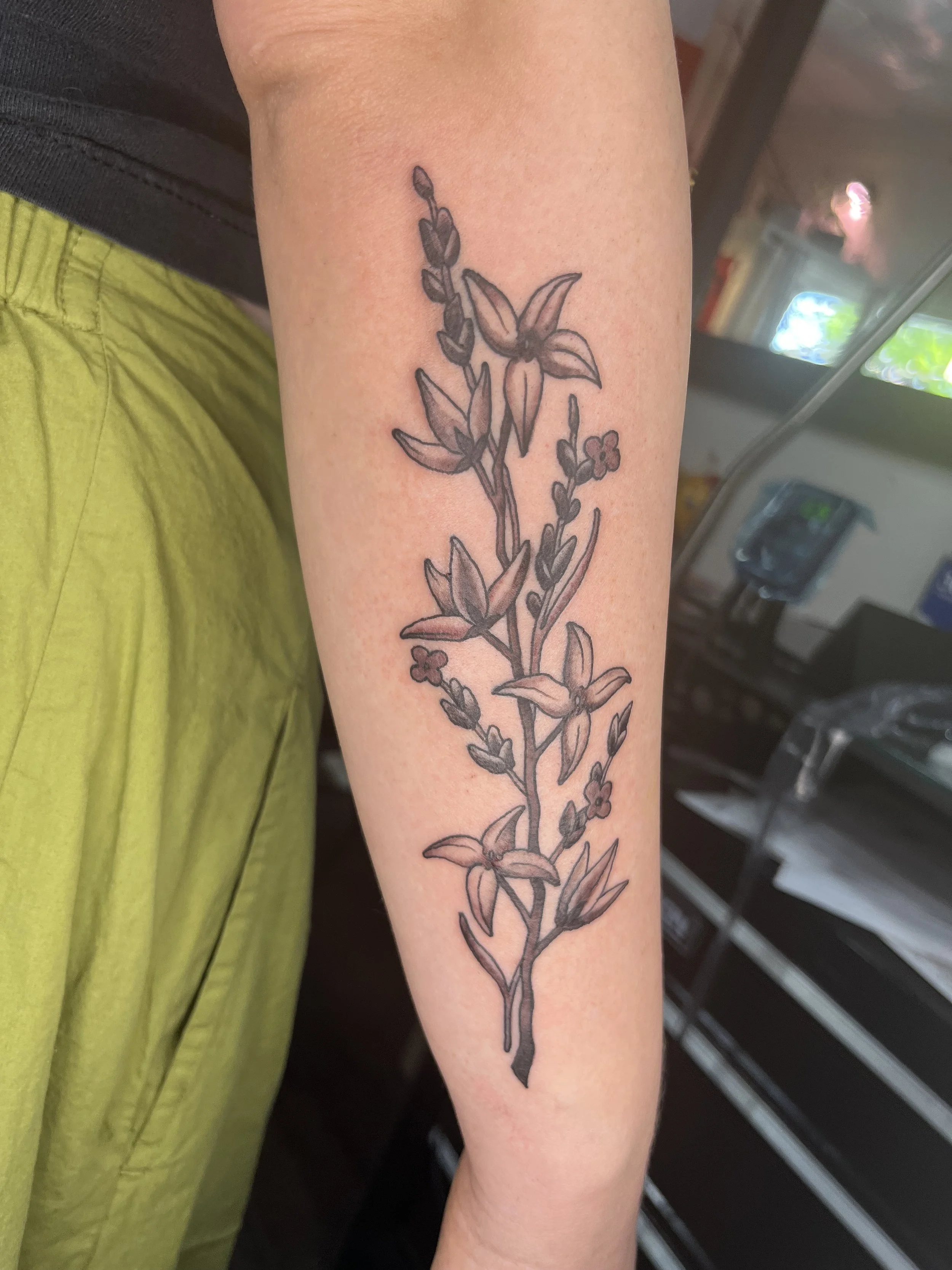 IMG_1449.jpeg