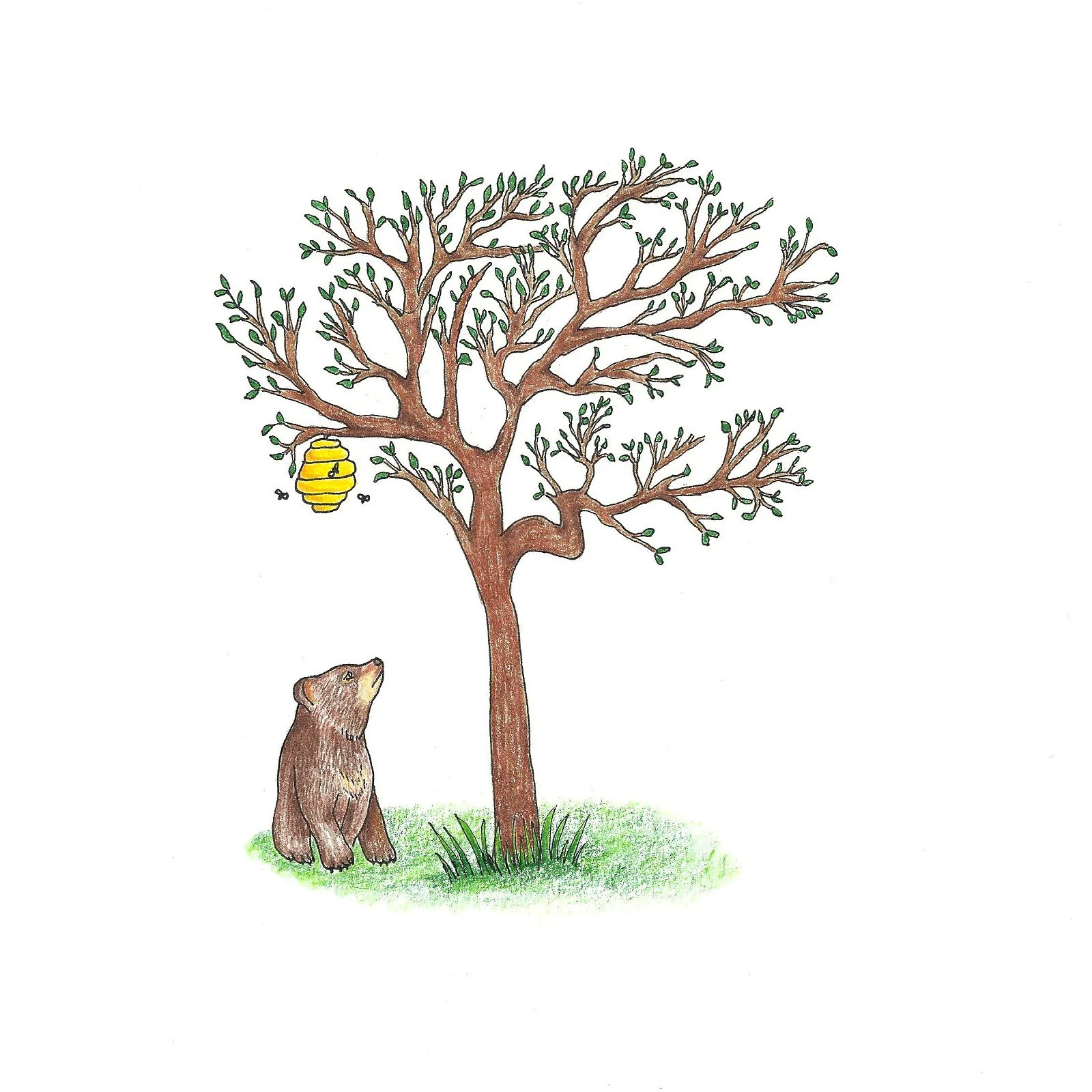bearandtree1.jpg