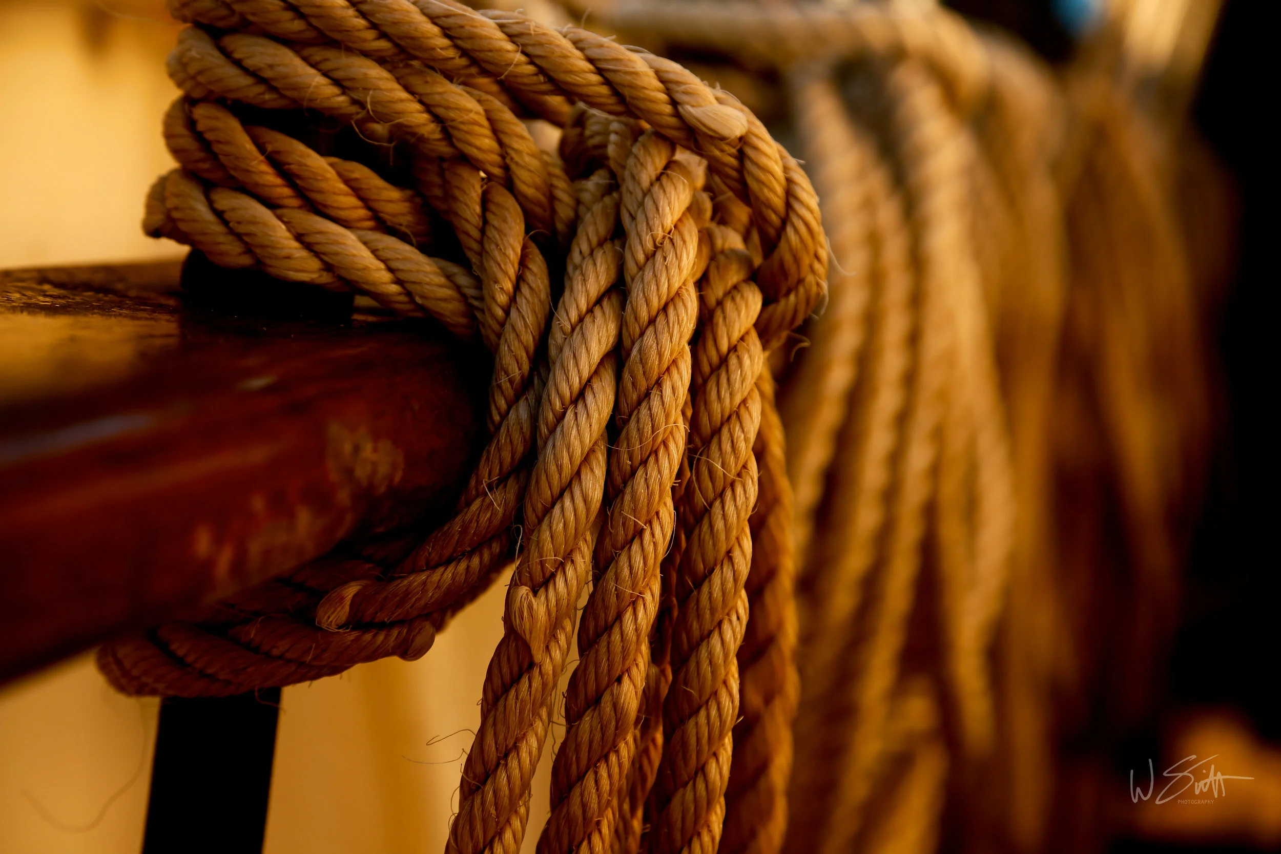 Rope.jpg