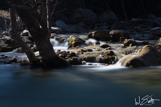 Fun times exploring the Greenbelt #atx #greenbelt #syrp #10stopnd