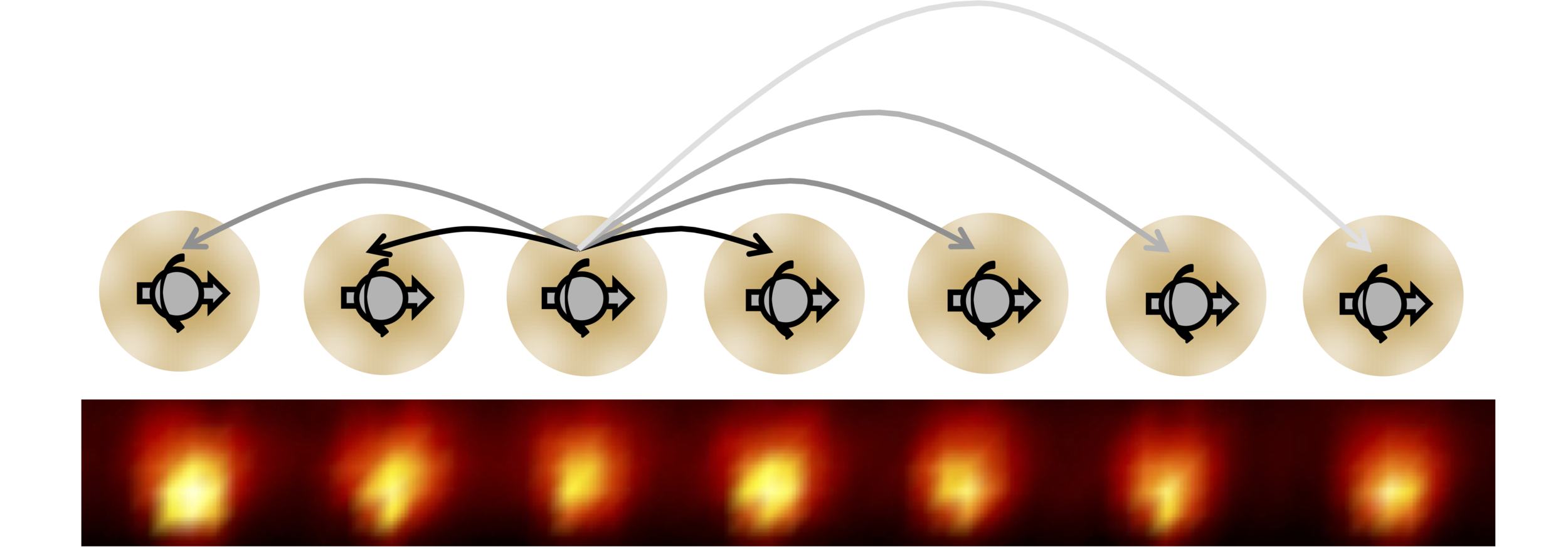 Discrete Time Crystal in Trapped Ions and NVs