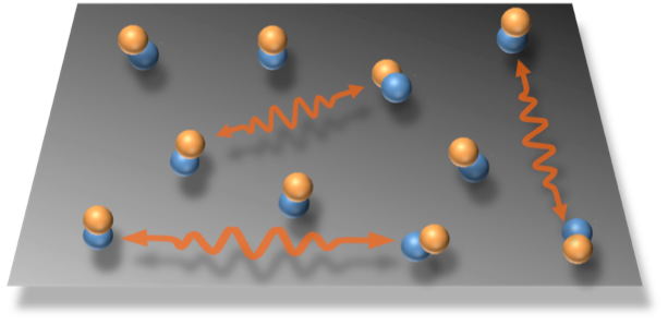 Quantum dipolar spin liquid