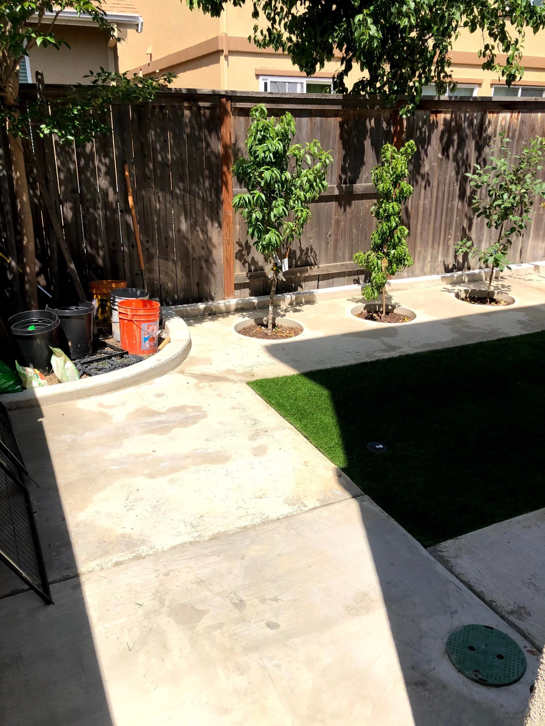 Custom back yard