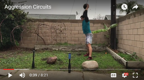 Video: Aggression Circuits At The Home Gym