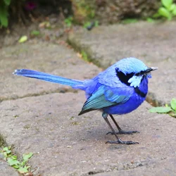 Blue Wren | You’ll most likely spot a few of these little guys! Photo: The Berry Farm