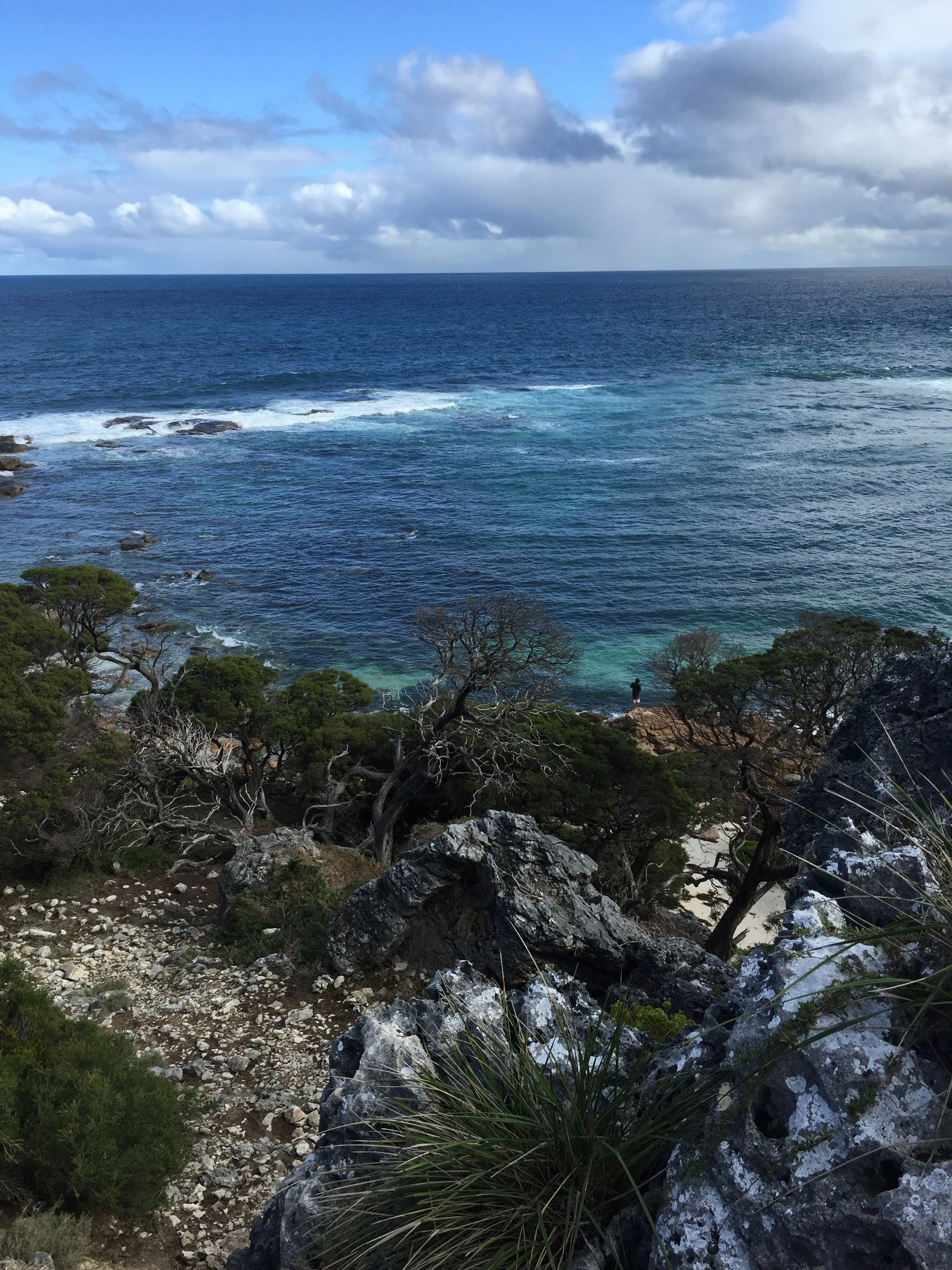 Bobs Hollow on the Cape to Cape Track, between Redgate and Contos.
