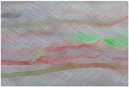 detail Ragdale Reeds.jpg